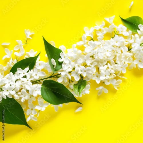 Bright Yellow Background With White Flowers and Green Leaves Arranged in a De...