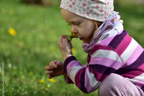 Curious toddler girl smelling a yellow dandelion flower while playing outdoors in spring meadow. Close-up portrait with soft natural light, green blurred background and peaceful childhood atmosphere.