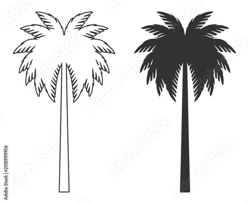 Foto palm tree line art and silhouette vector illustration on transparent background