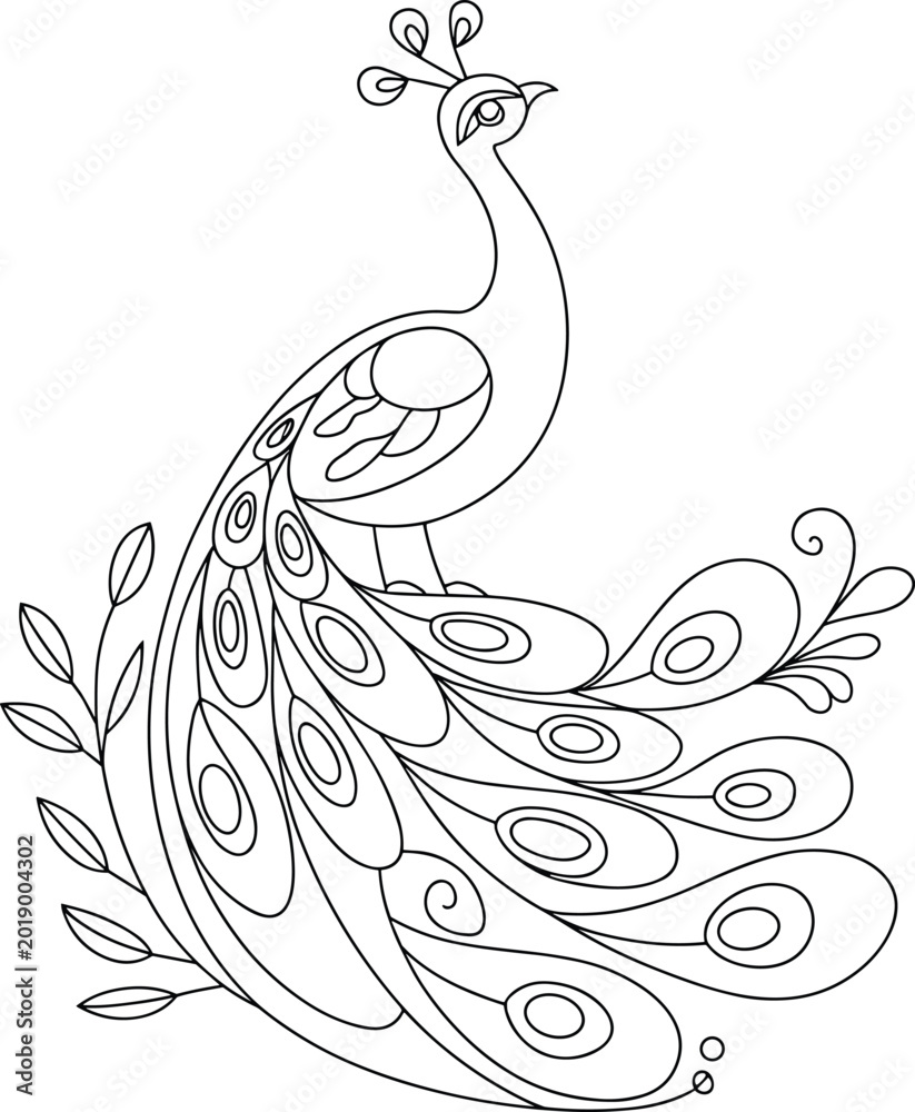 Fototapeta premium Stylized black and white line drawing of a majestic standing peacock