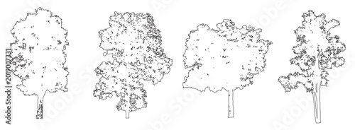 Schilderij op canvas Minimal CAD Tree Line Drawings, Side View, Vector Outline Set for Landscape & Ar