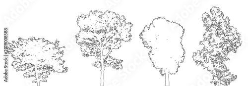 Photos Minimal CAD tree line drawings, side view outline set, architectural landscape d