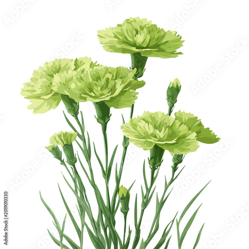 Minimal 2D flat vector of a Green Trick Dianthus, icon-style illustration on a white background