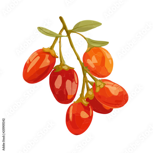 Cornelian Cherry, presented as a modern flat 2D vector icon graphic on a white background