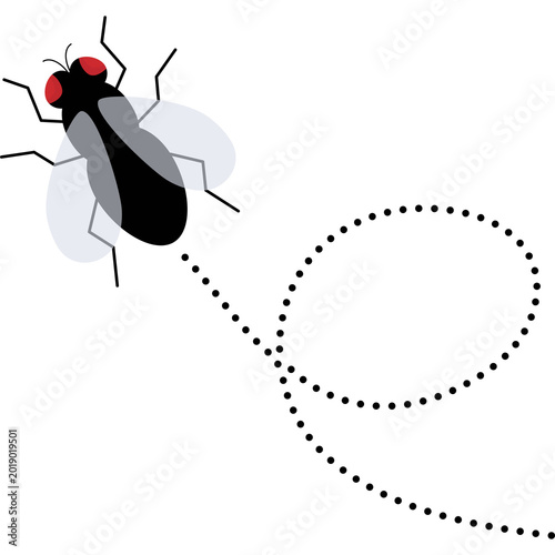 Fly Insect with dotted path.