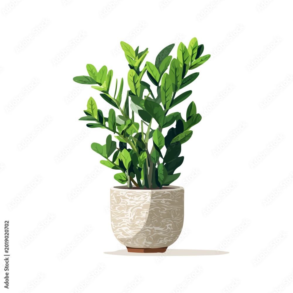 Fototapeta premium 2D flat vector graphic of a ZZ Plant in icon style, isolated on white background