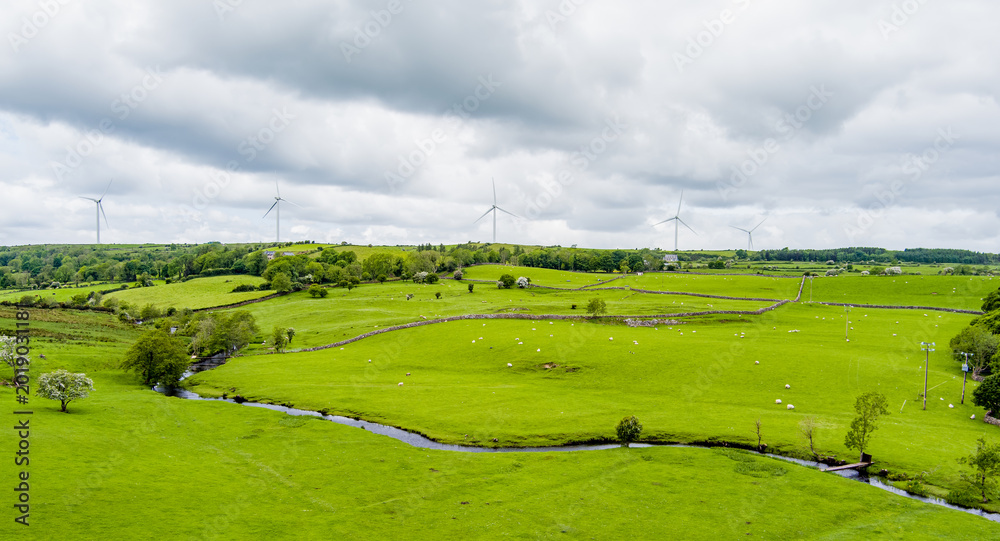 Naklejka premium Rolling green meadows with sheep, stone walls and wind turbines near Donegal, Ireland. A rural landscape combining farmland, open scenery and renewable energy.