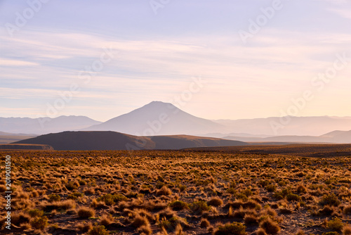 Expansive Bolivian Altiplano landscape stretches under a soft, golden sky. Dry grasses cover the ground leading to layers of misty mountains.