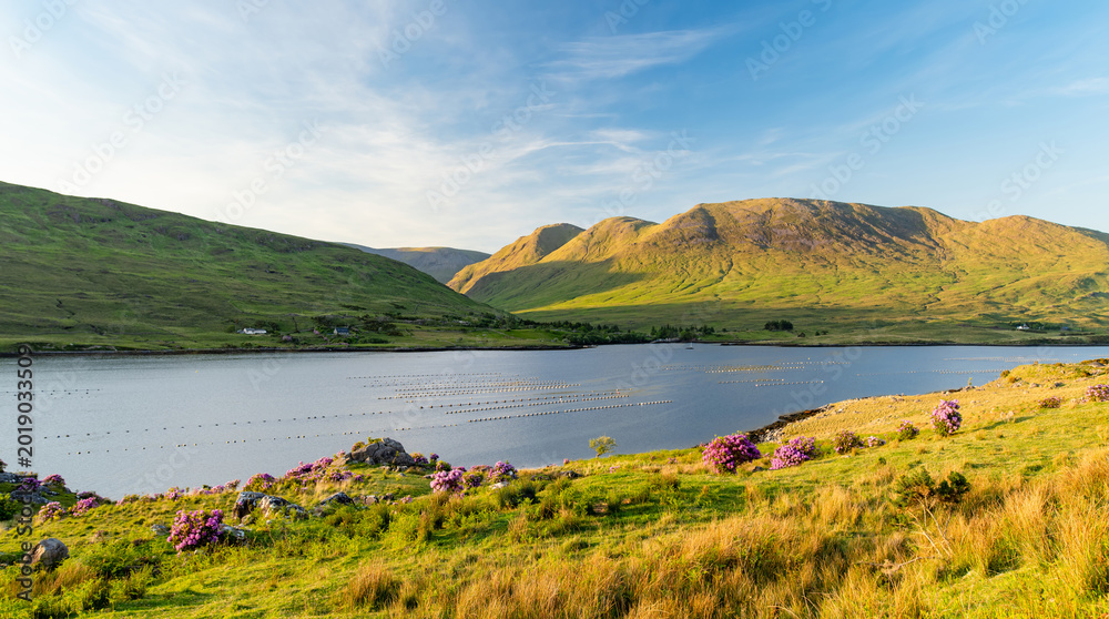 Naklejka premium Sunset view of Killary Fjord near Leenane on the Galway Mayo border, Ireland. Scenic mountain and coastal landscape along the Wild Atlantic Way in Connemara.