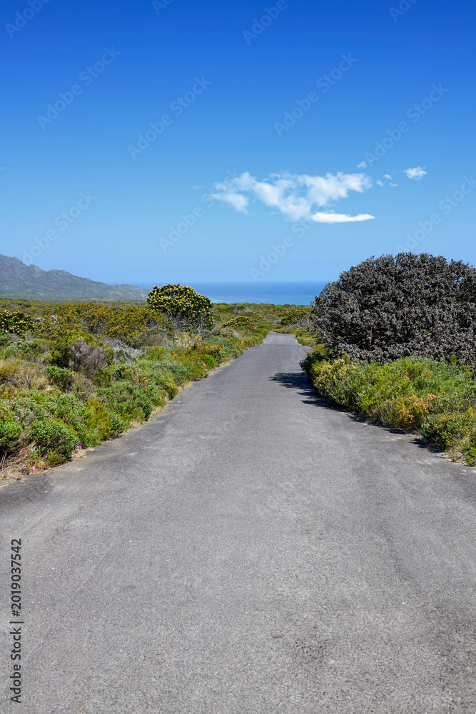 Naklejka premium Travel, landscape and empty road with blue sky for adventure, tourism destination and location. Background, space and street with nature, plants and outdoor for journey, trip and route to coast