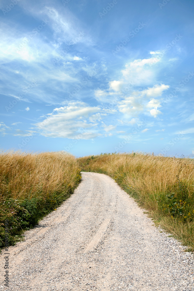 Naklejka premium Blue sky, grass and landscape of gravel road in nature for travel location, natural tourism or path. Eco friendly, clouds and street in countryside for scenic route, getaway journey and vegetation