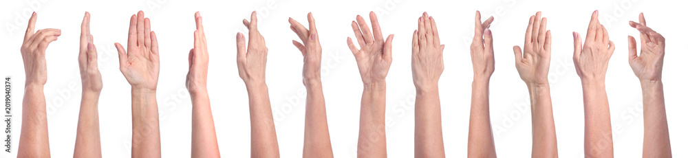 Fototapeta premium Collection of female hands isolated on white, closeup