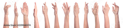 Collection of female hands isolated on white, closeup
