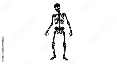 Tableau sur toile Human skeleton illustration black silhouette