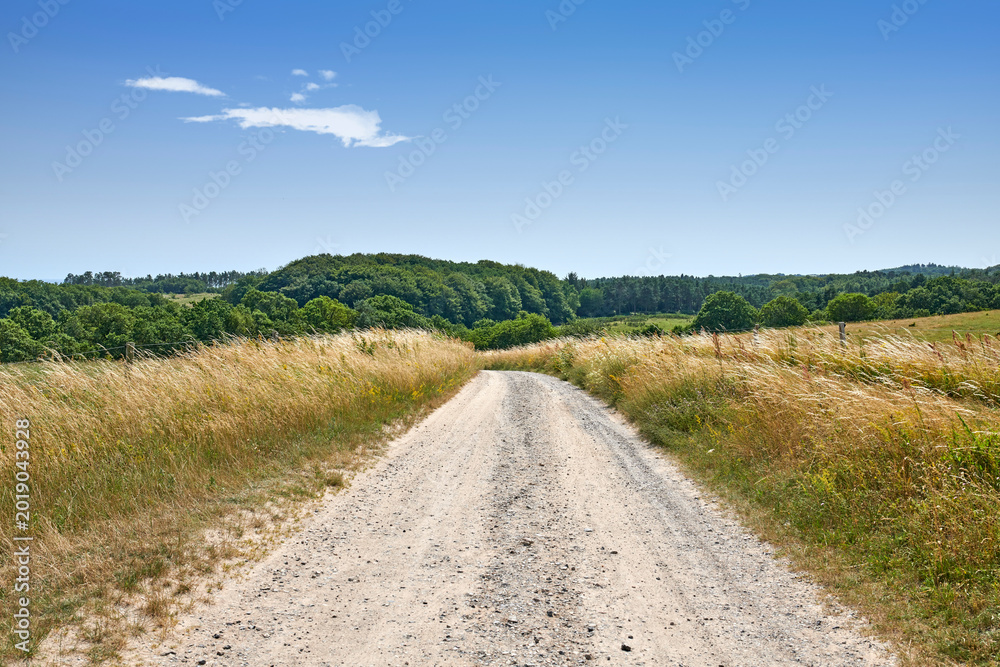 Obraz premium Blue sky, field and landscape of gravel road in countryside for travel, roadtrip and destination. Space, trees and scenic path in nature for getaway journey, natural environment or roadway vegetation