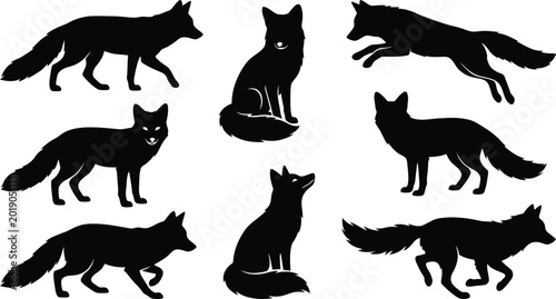 Obraz na płótnie Fox silhouette set, poses of wild animals, predatory creatures, transparent background