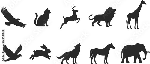 Photography Set of animal silhouettes collection, wild and domestic creatures presented, transparent background