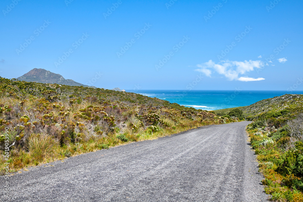 Naklejka premium Blue sky, ocean or road with landscape in nature for travel destination, coastal vegetation or trip. Seaside, biodiversity and street in natural environment for scenic route, getaway journey or space