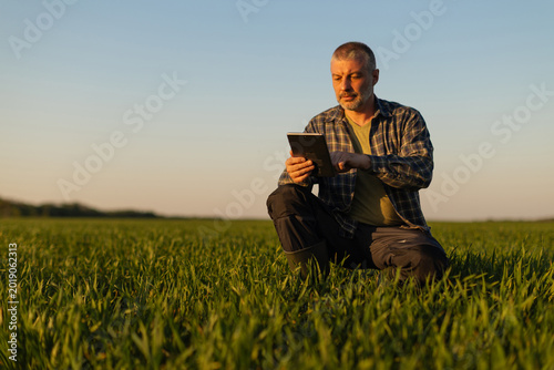 Fotografía Professional man farmer kneeling in green field, looking at digital tablet and a