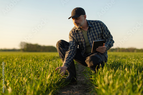 Tableau sur toile Agricultural field inspection