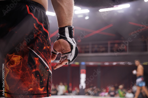 Fotografía MMA Fighter Preparing for Competition in the Octagon