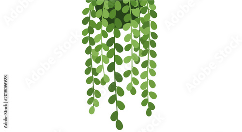 Картината върху платно Green Hanging Plant Leaves Isolated on White Background