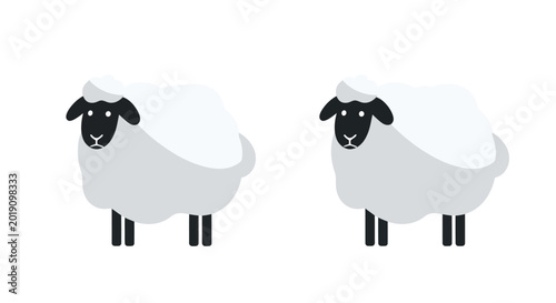 Vászonkép Two Fluffy Sheep Isolated on White Background