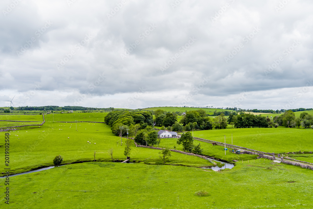 Fototapeta premium Rolling green meadows with sheep, stone walls and wind turbines near Donegal, Ireland. A rural landscape combining farmland, open scenery and renewable energy.