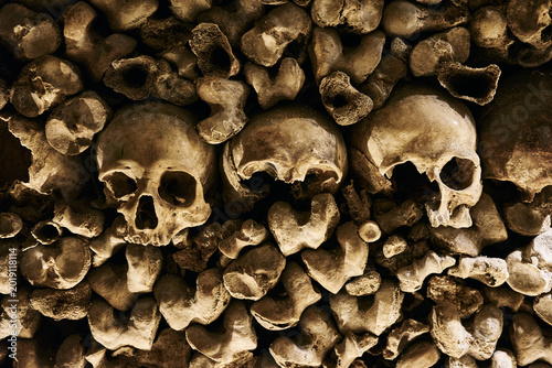 Eerie Human Bones and Skulls Arrangement Inside the Paris Catacombs
