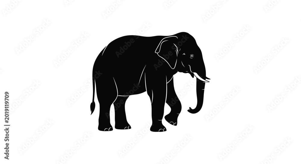 Obraz premium African elephant walking silhouette isolated on white