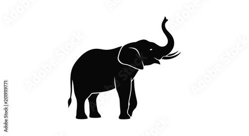 Photography Elephant with raised trunk silhouette isolated