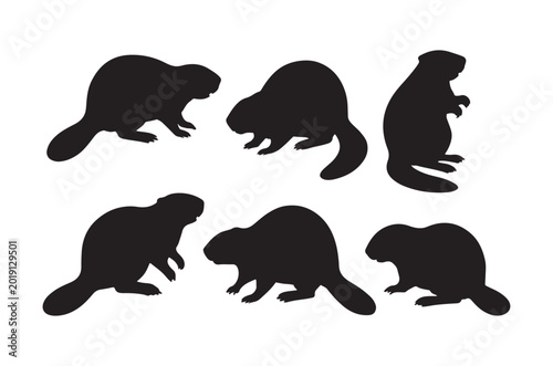 Beaver silhouettes collection on a white background