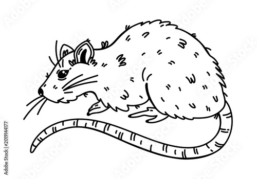 Laboratory rat vector illustration. Hand drawn black and white clipart, isolated sketch. Mouse silhouette, realistic animal used in science. Pest, rodent line art. Fluffy pet