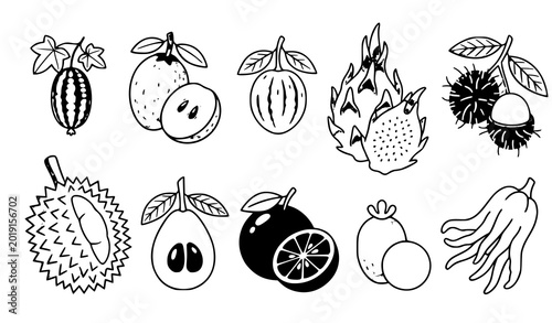Tableau sur toile Exotic tropical fruit collection vector with rare organic food icons isolated on