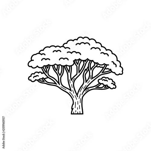 Minimalist African savanna acacia tree line art icon