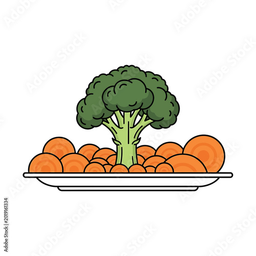 Healthy broccoli and sliced carrots on a white plate