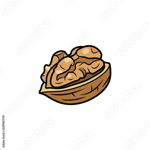 Single cracked walnut with visible kernel on white background