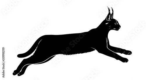 Canvas Print Silhouette of a leaping caracal cat on a white background, wild animal illustrat
