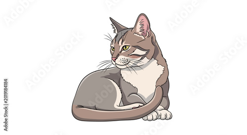 Cartoon cat illustration with detailed fur texture isolated on white background