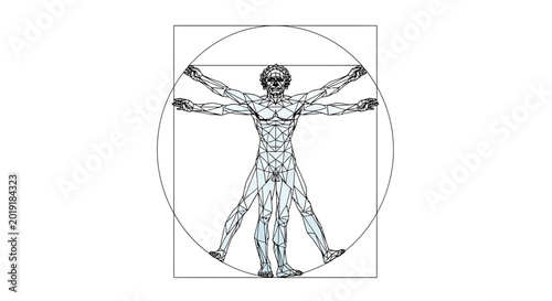 Modern Geometric Human Body Proportions and Anatomy Study
