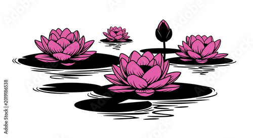 Pink blooming lotus flowers on black lily pads in water