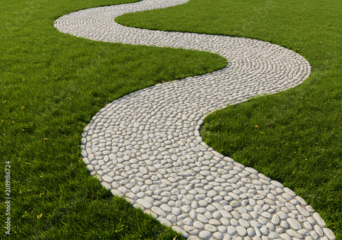 Meandering stone pathway in grass