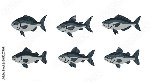 Set of cartoon fish illustrations with different color variations on white