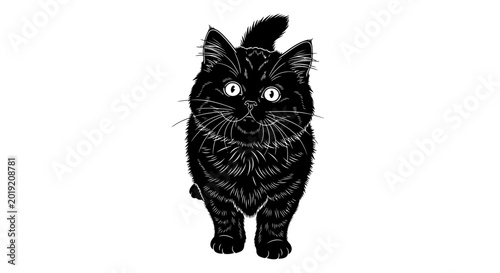 Cute Fluffy Black Kitten with Detailed Fur and Wide Eyes