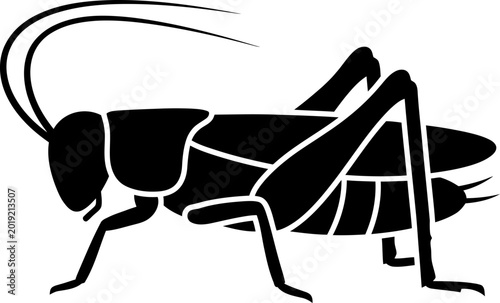 Black silhouette of a cricket insect on white background