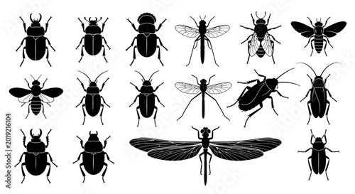 Black insect icons, bug silhouettes, 15 vector graphics, pest illustrations, creepy crawly clip art