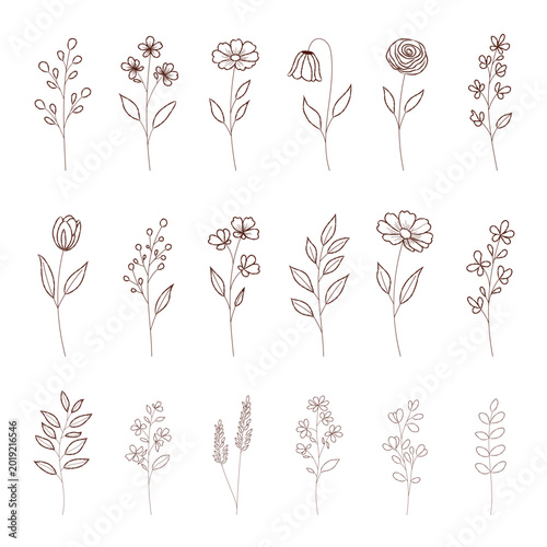 Minimal botanical flower sketch line art vector set