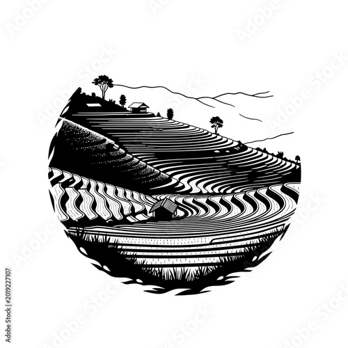 Traditional terraced rice paddy landscape in black and white
