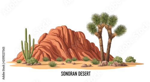 Sonoran Desert landscape with red rock formation and saguaro cactus