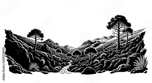 Mountain Landscape with Pine Trees and Rugged Valley View
